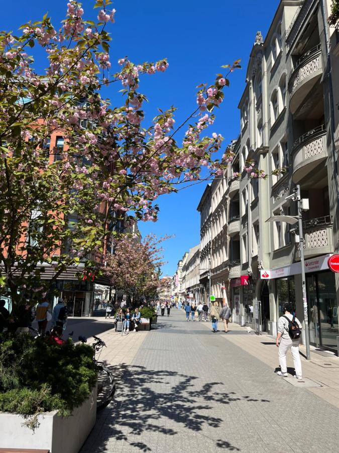 Sloneczny Apartament Centrum Poznania Klimatyzacja Wi-Fi Tv Zmywarka Pralka Piekarnik المظهر الخارجي الصورة